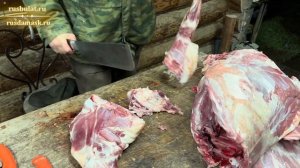 Быстрая разделка барана ножом Финка-043 из стали S390 и тяпкой Мясницкой удлиненной из дамаска