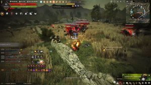 Какой выбрать класс, новичку в Black Desert Online?