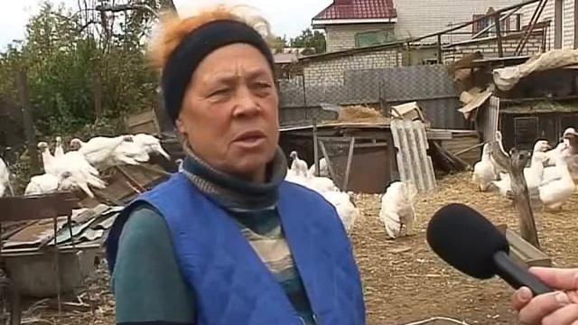 Отзыв о системе отопления ПЛЭН, Животноводство 480p смотреть онлайн