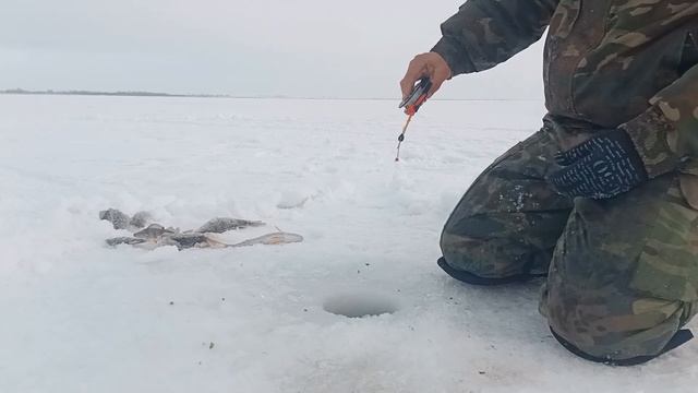 ОКУНЬ!!!!Рыбалка на окуня... смотреть онлайн