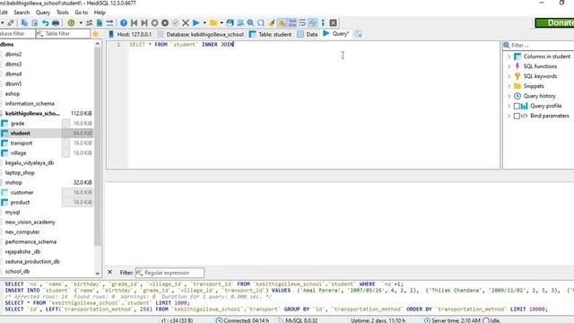 Mastering Database Creation & Queries with MySQL Workbench and HeidiSQL | DBMS