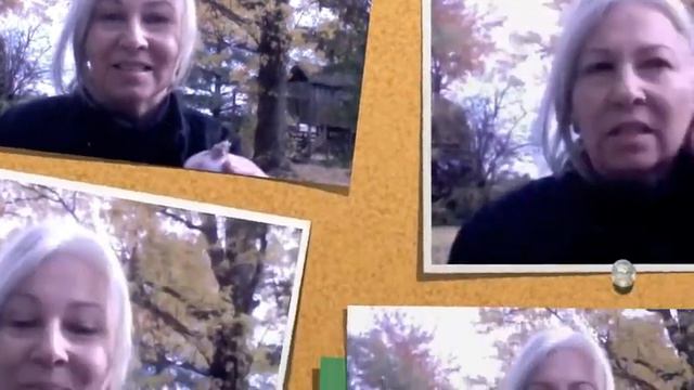 Spring Bulb Planting Techniques смотреть онлайн