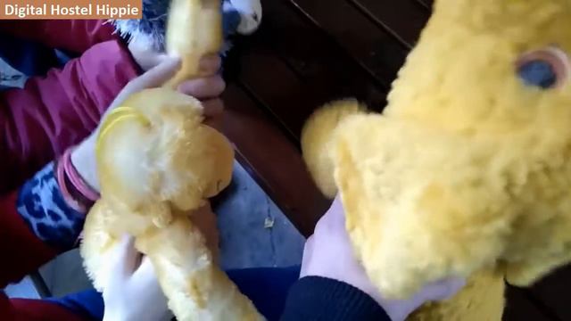 Путешествиев псих интернат