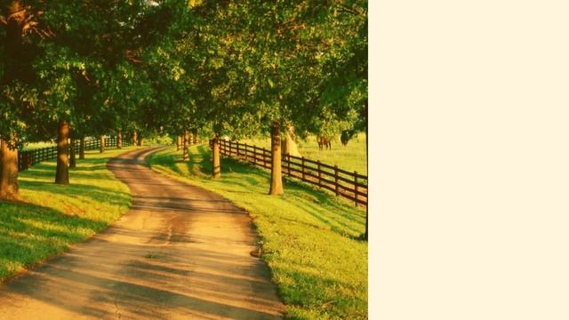 С Днём Автомобилиста! смотреть онлайн