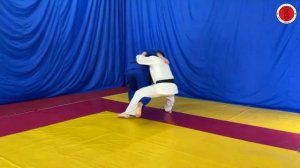 Контрприем от подсада бедром и голенью изнутри (ханэ-гоши-гаэши/hane-goshi-gaeshi)