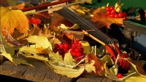 ТАНГО ОСЕНИ, или ОСЕННЯЯ КУМПАРСИТА. Авторская песня Константина Медведева исп автор