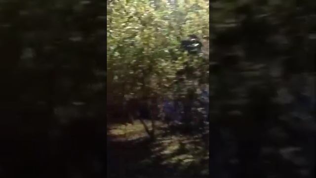 ?ДОБРЫЙ ВЕЧЕР! ВЕЧЕРНЯЯ ПРОГУЛКА. КРАСНОДАР смотреть онлайн