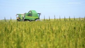 Построив дом из костробетона, вы делаете вклад в сохранение окружающей среды! hempdom.ru