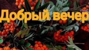 Пусть этот вечер наполнит Вас позитивным настроением ❤️Хорошего вечера 💜💙