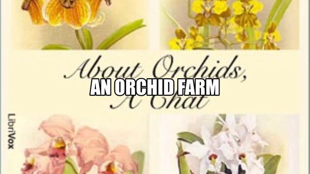 About Orchids, a Chat by Frederick Boyle Chapter 08 Full Audiobook смотреть онлайн