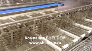 Автоматическая линия для пончиков Кваркини 12700 штук в час