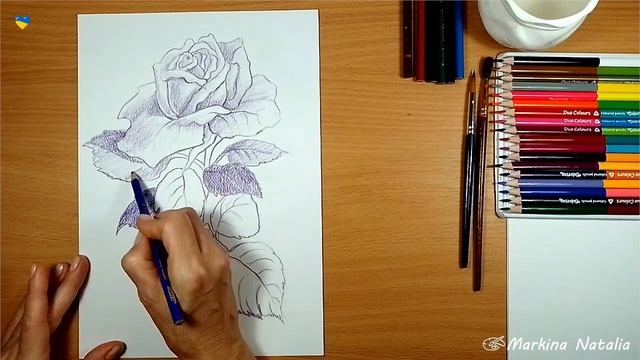 ЖИВОПИСЬ или ГРАФИКА? Рисуем РОЗУ акварельными карандашами