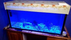 Сделал крышку из пвх панелей с деодной цветной подсветкой с али экспресс!!