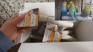 ? Керамзитовые или минеральные жердочки для попугаев ?