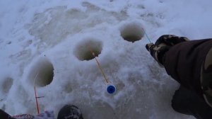 Увидели и Обурили! ЛОВЛЯ КАРАСЯ ЗИМОЙ на ОЗЕРЕ! Рыбалка Зимой на Карася!