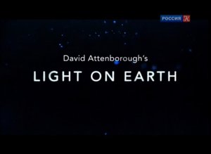 Живой свет с Дэвидом Аттенборо