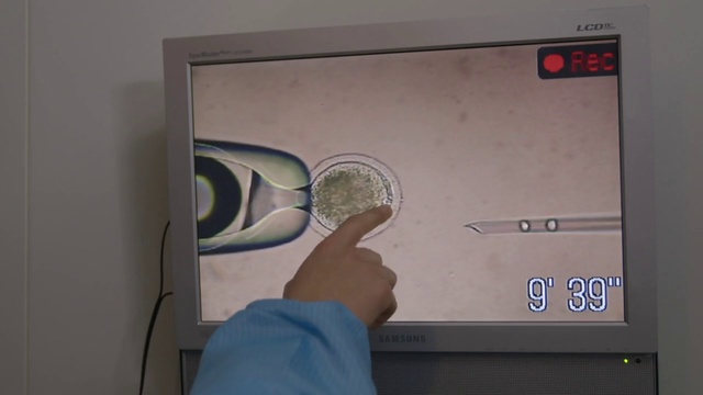 Генезис 2.0 смотреть онлайн