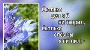 Гимны надежды 185 Ты, Господь, моя Скала! (-)