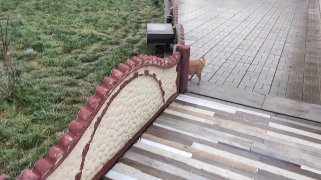 Славянск. 11 декабря 2022 года. С добрым утром! смотреть онлайн