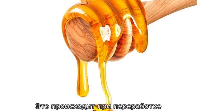 Может ли испортиться мед смотреть онлайн