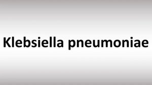 How to Pronounce Klebsiella pneumoniae