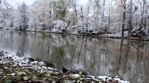 Winterführung-Der Tierpark am Röhrensee Bayreuth.#Winterführung #The #Natural #World #Мир #Природы