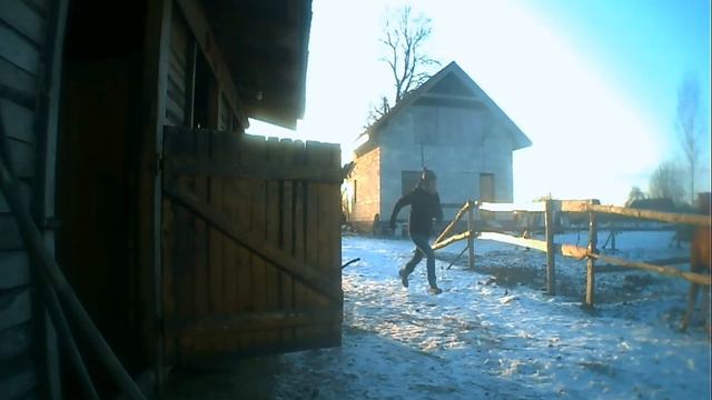 Конь сбежал!!