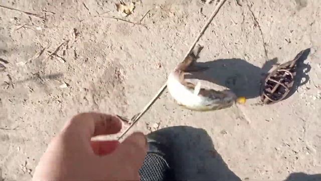 Рыбалка в Новочеркасске Тёплый канал смотреть онлайн