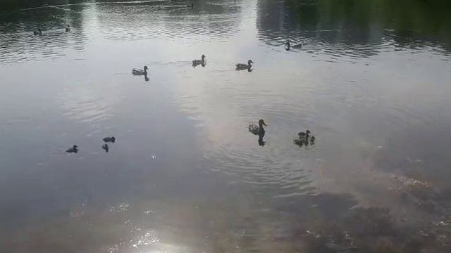 Природа. Сибирь.