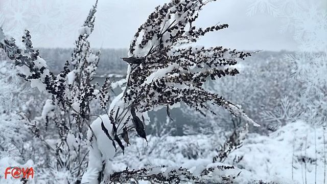 Снег летит кевин