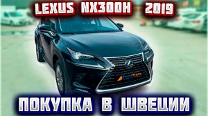 Покупка авто из Европы (Швеции). Lexus NX300H 2019 г.в.