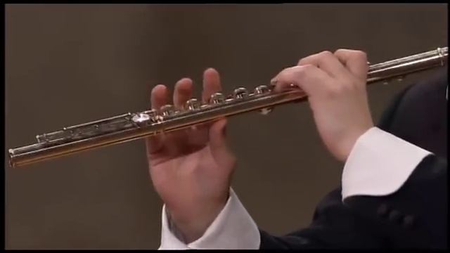 Rodrigo - Concierto pastoral pour flûte - I.- Loïc Schneider смотреть онлайн