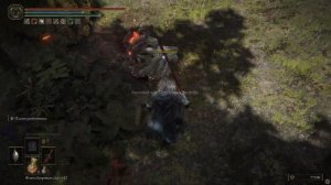 Где найти кристальную слезу мудрости ELDEN RING.