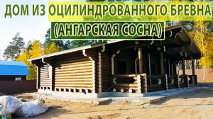 Сруб из оцилиндрованного бревна Ангарская сосна (на строительном объекте)