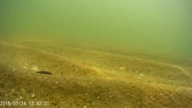 Экшн Камера SJ 5000. Подводная съемка 4 1920x1080 30fps