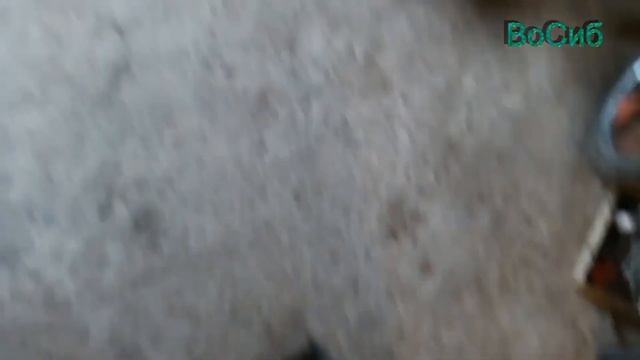 нива 21214 замена натяжителя и успокоителя цепи смотреть онлайн