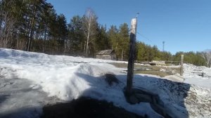 Виноград в Сибири. Просто о сложном. Часть 1-я Введение.