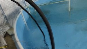 Обновили зимовал в УЗВ. Что изменилось? #рыба #осетр #узв