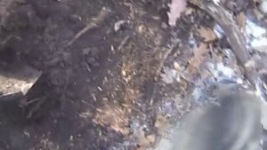 Коп монет Асей 250 + Нел Торнадо.Выпуск №15