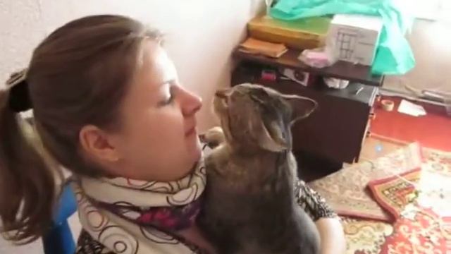 самый ласковый друг Стасик котэ смотреть онлайн