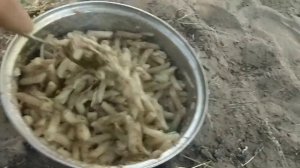 Пеший поход с ночёвкой и рыбалкой. #поход  #палатка #рыбалка  #природа