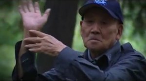 Tai Chi and Qigong in a Chinese Park