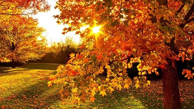 Поздней осенней порой смотреть онлайн