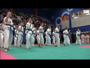 В Тамбове прошёл фестиваль единоборств.