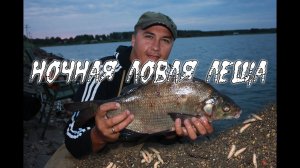 Ловля леща. Ночная рыбалка