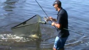 Белый Амур на 17800.mp4