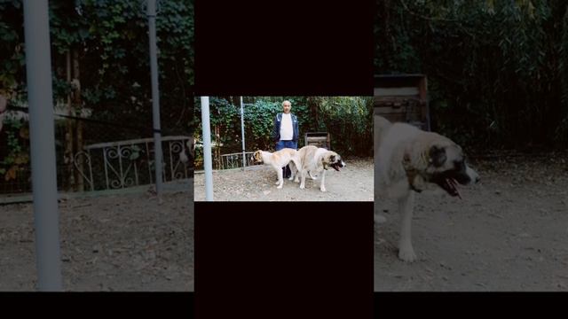 25 июля 2021 г. смотреть онлайн