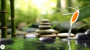 Relaxing Music - Bamboo Water Sounds, Healing Sleep Music, Eliminate Stress, Release of Melatonin