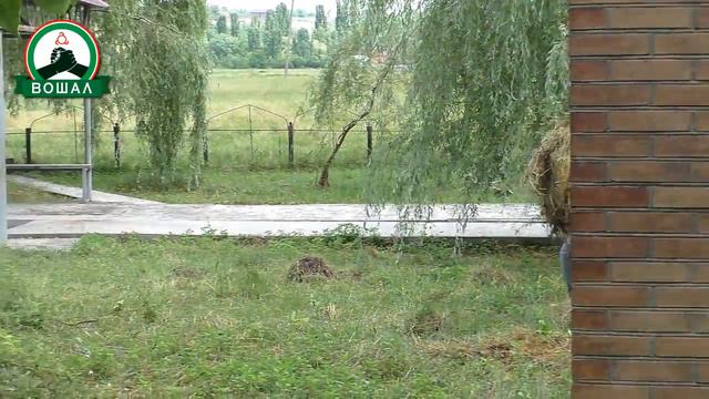 Ингушетия|Белхи по чистке родника им.Устаза Кунта Хаджи {фонд ВОШАЛ}