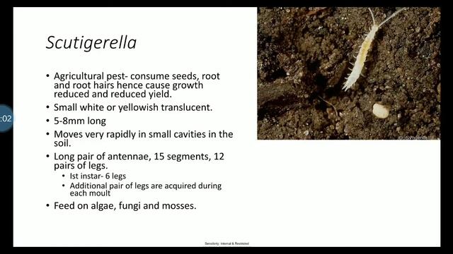 Class Symphyla and Pauropoda (Phylum Arthropoda) -explanation in Malayalam смотреть онлайн